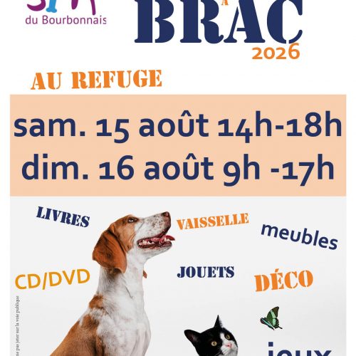Bric à Brac 15 et 16 août 2026 Bric à Brac 15 et 16 août 2026