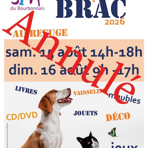 Annulé Bric à Brac 15 et 16 août 2026